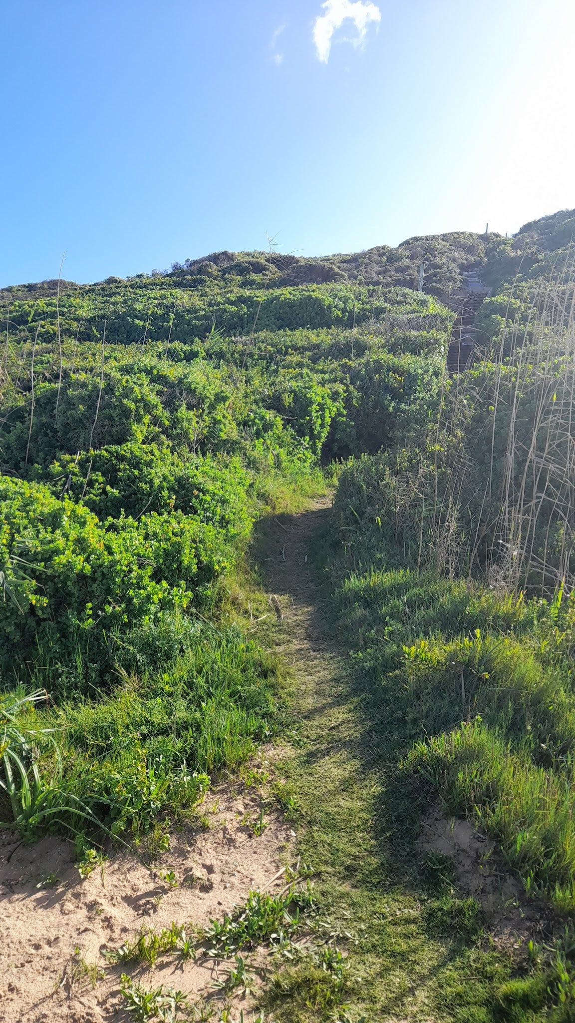 Jongensfontein Nature Reserve