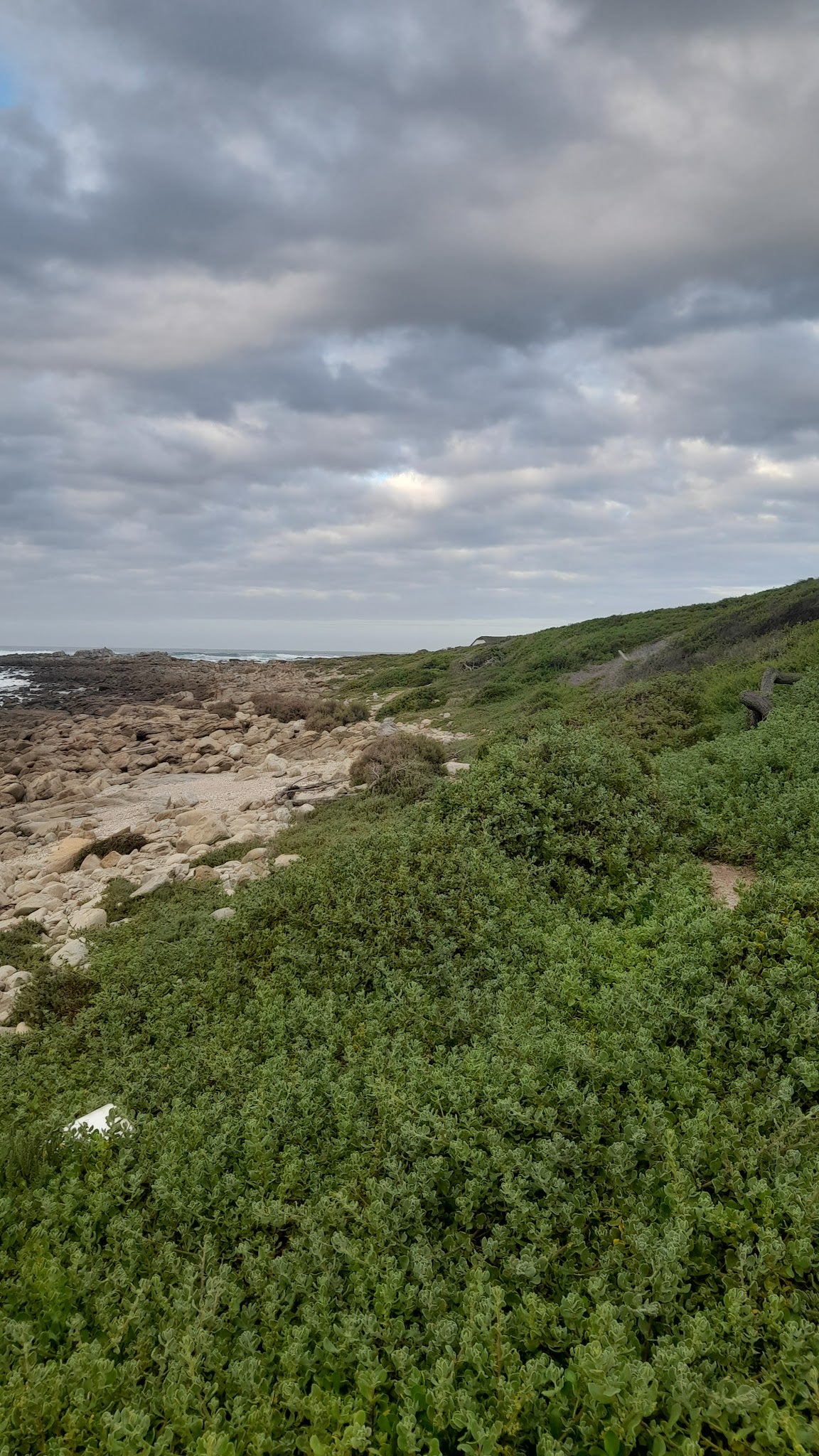 Jongensfontein Nature Reserve