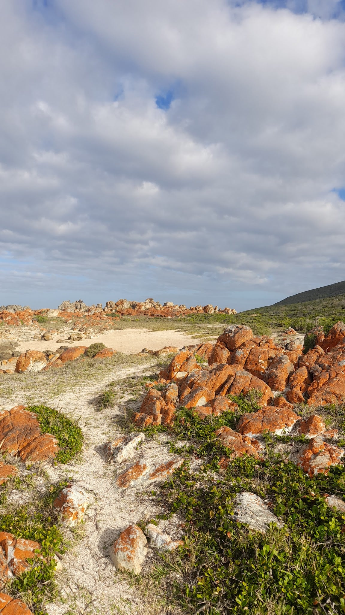 Jongensfontein Nature Reserve