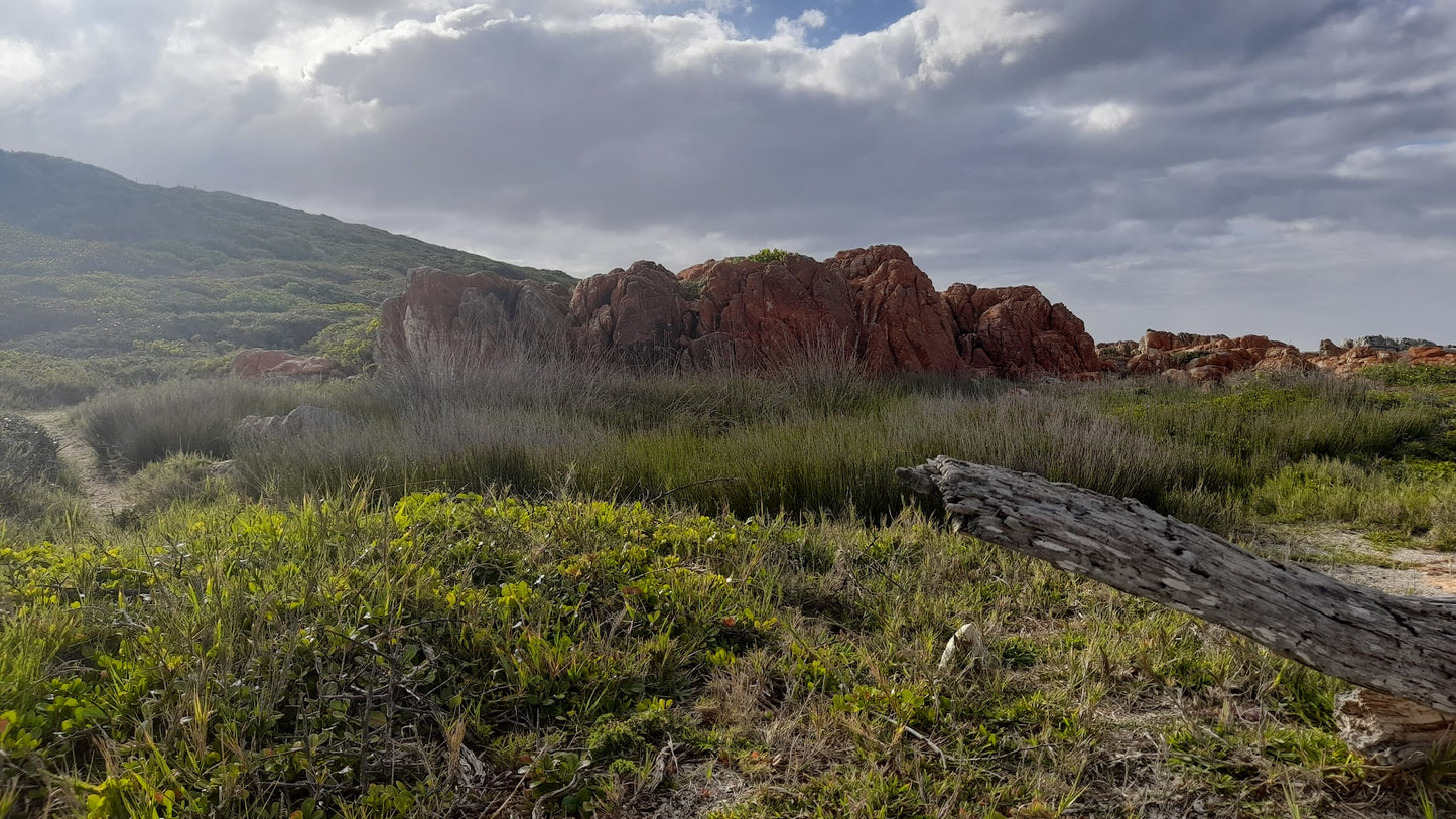 Jongensfontein Nature Reserve