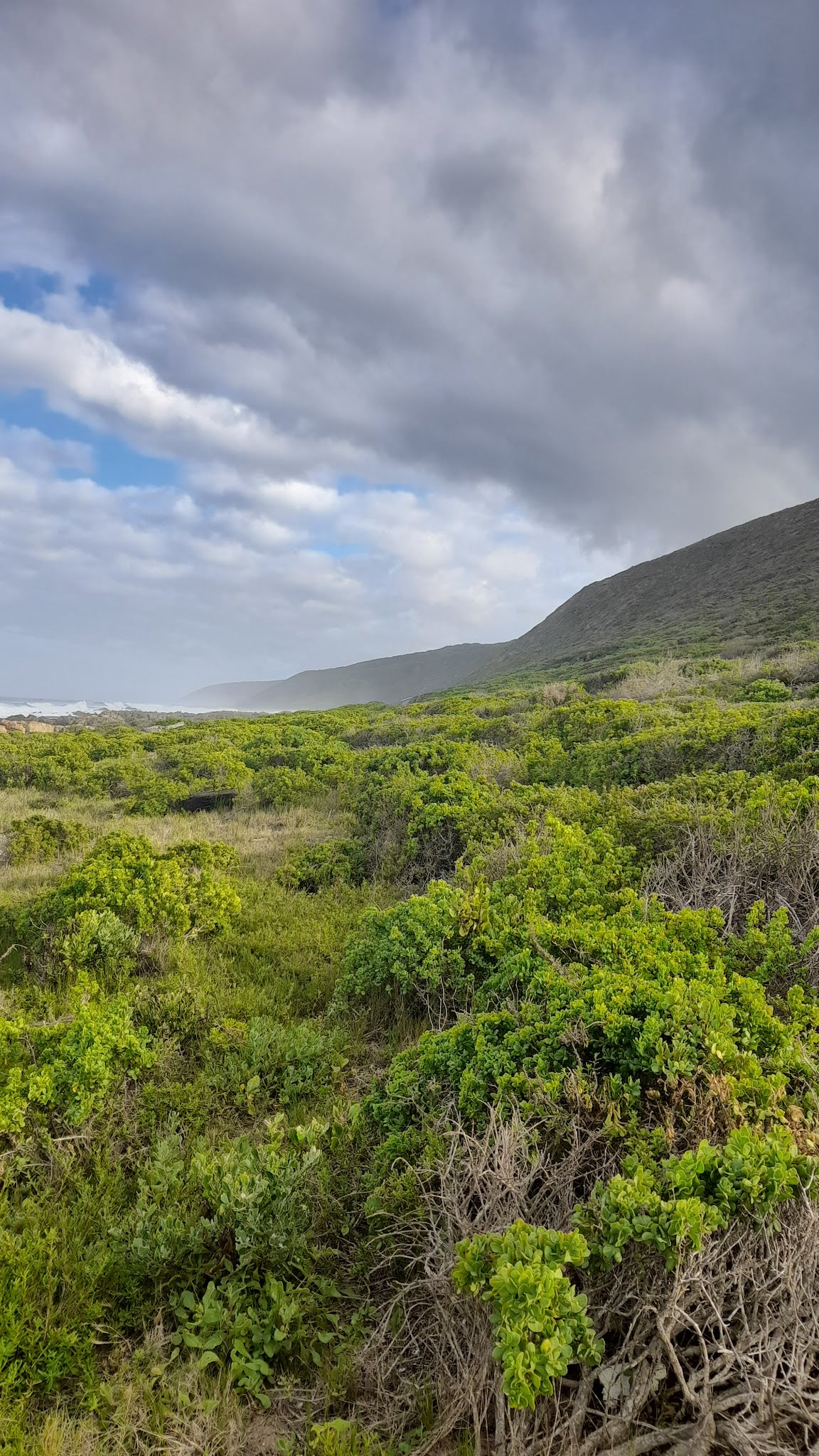 Jongensfontein Nature Reserve