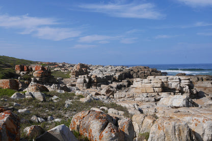 Jongensfontein Nature Reserve