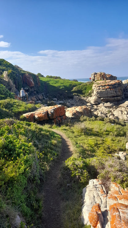 Jongensfontein Nature Reserve