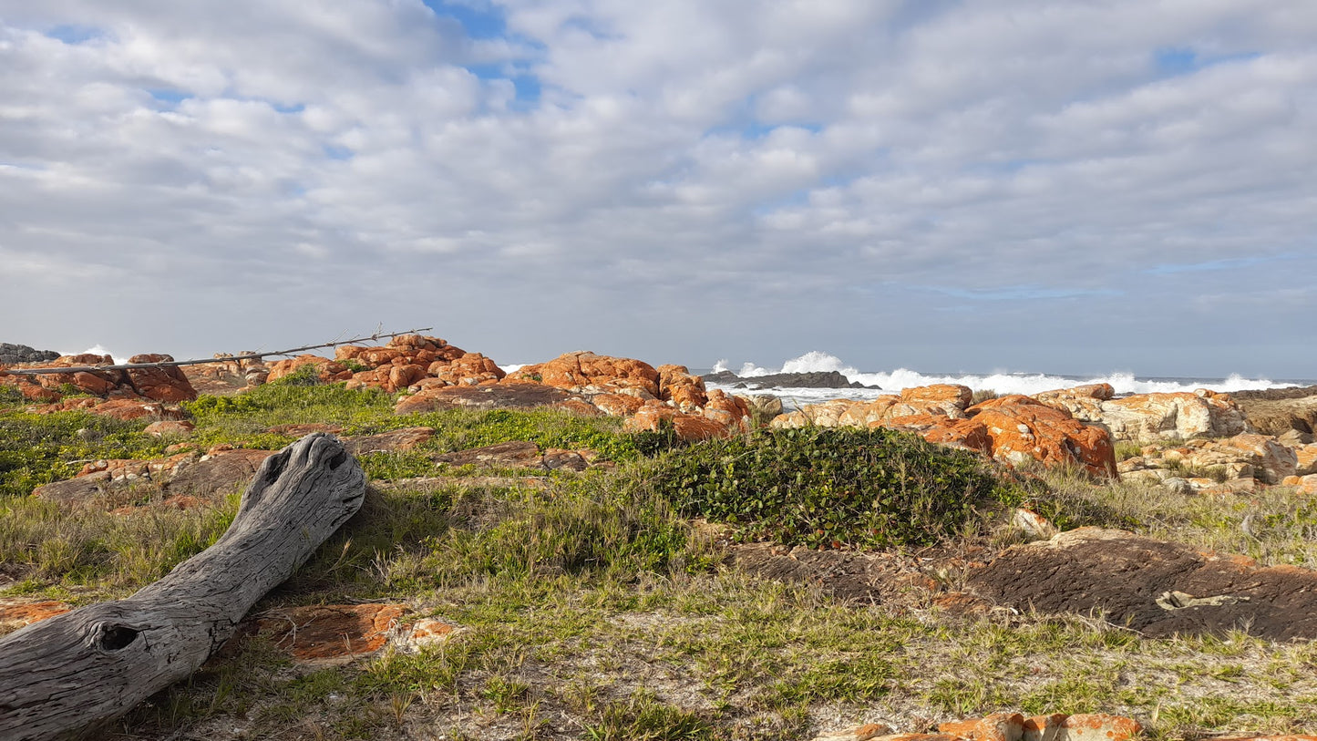 Jongensfontein Nature Reserve