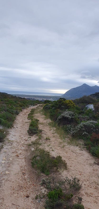  Jonkersdam Hiking Trail