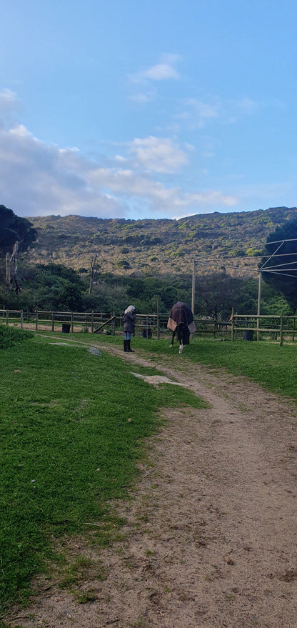  Jonkersdam Hiking Trail