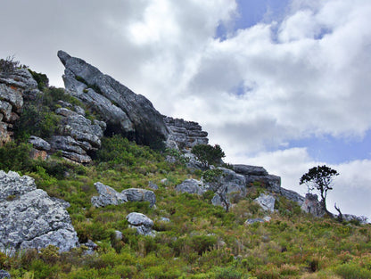  Jonkersdam Hiking Trail