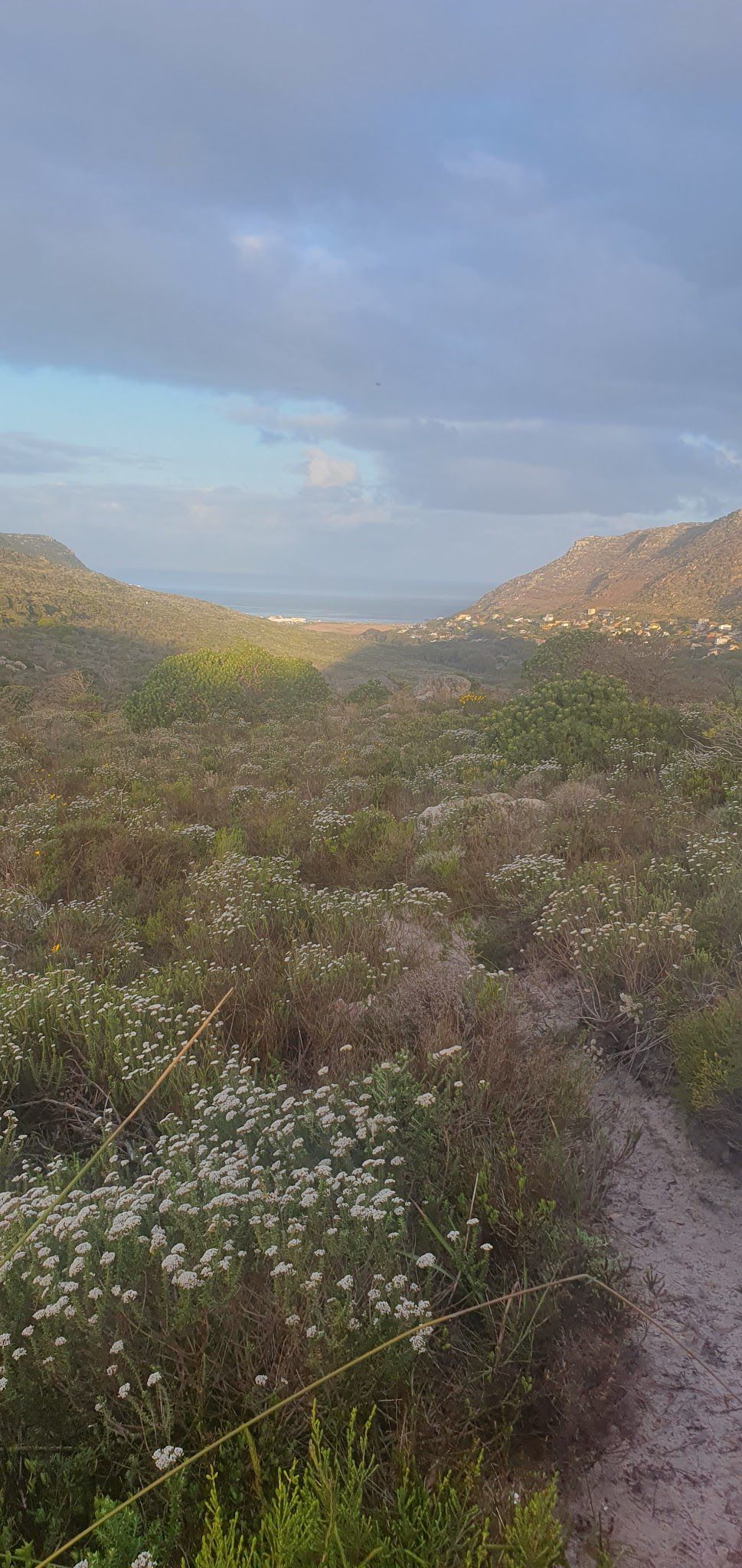  Jonkersdam Hiking Trail