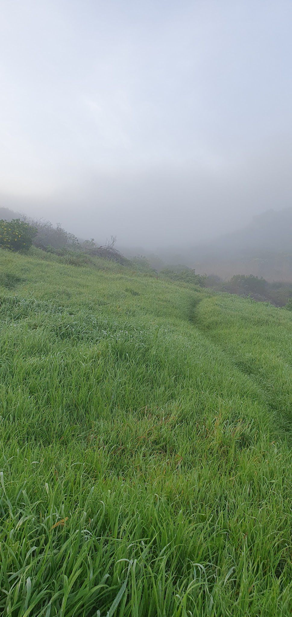  Jonkersdam Hiking Trail