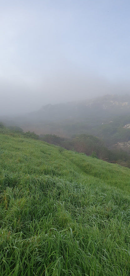  Jonkersdam Hiking Trail