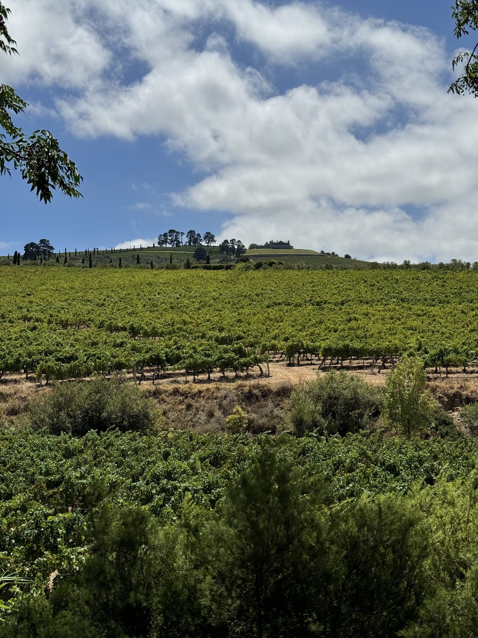  Jordan Wine Estate