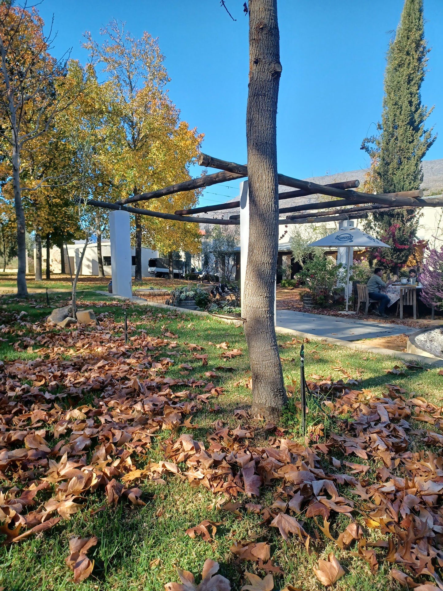  Joubert Tradauw Wine Farm & Deli Alfresco