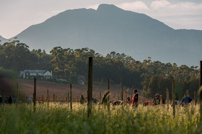  Journeys End Vineyard