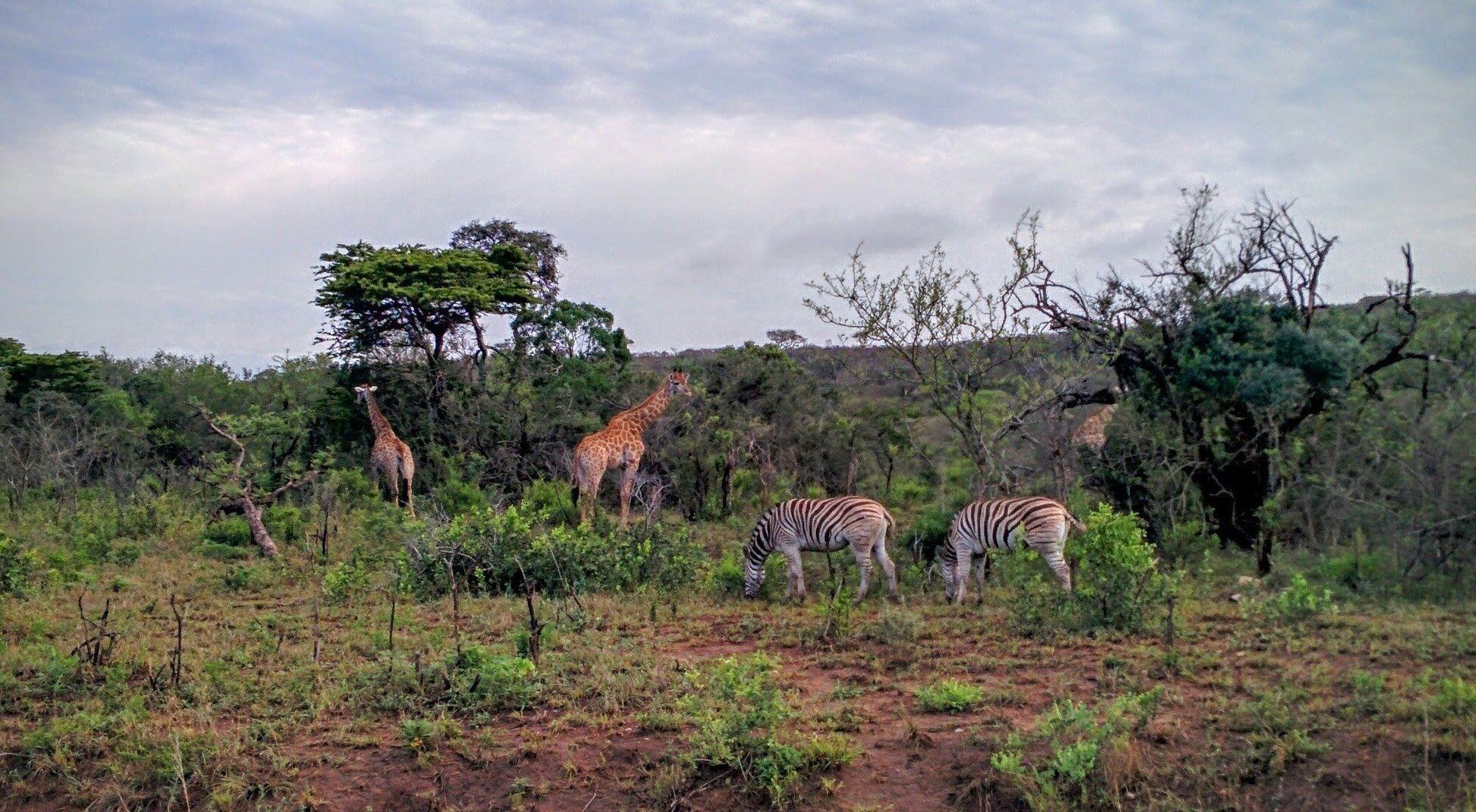  KZN Wildlife