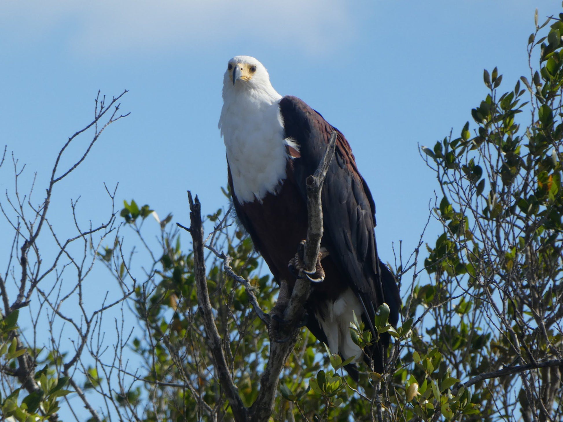  KZN Wildlife