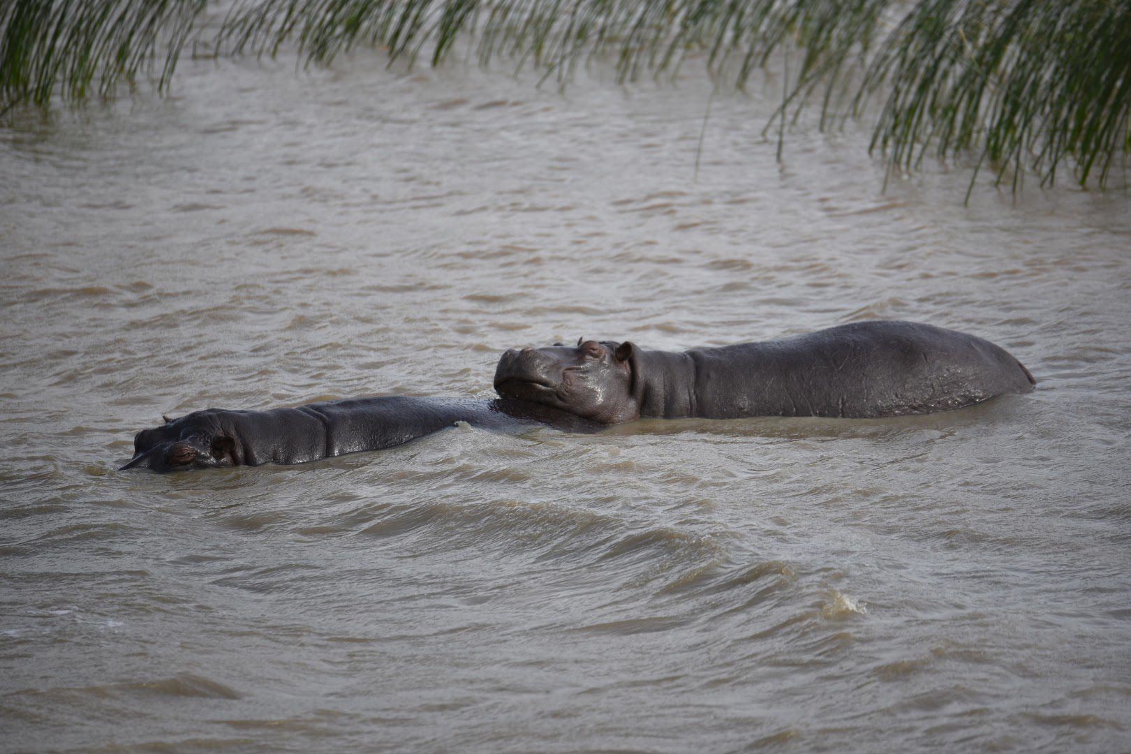  KZN Wildlife