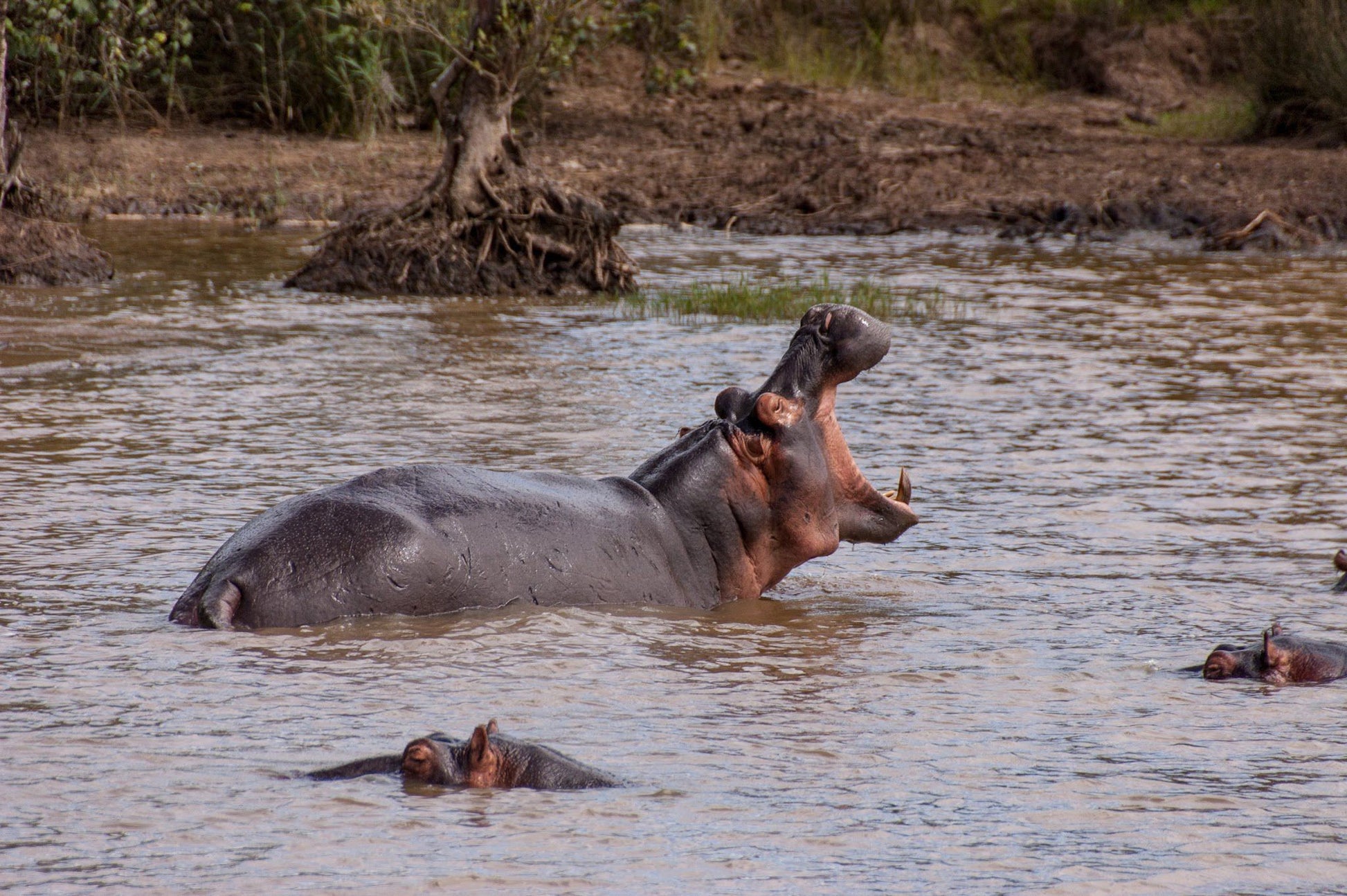  KZN Wildlife