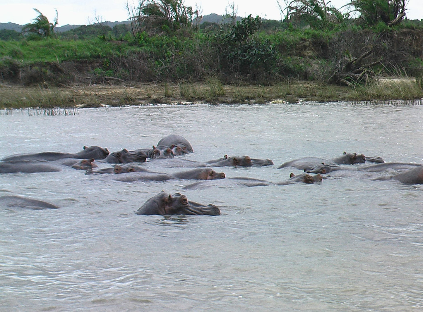  KZN Wildlife