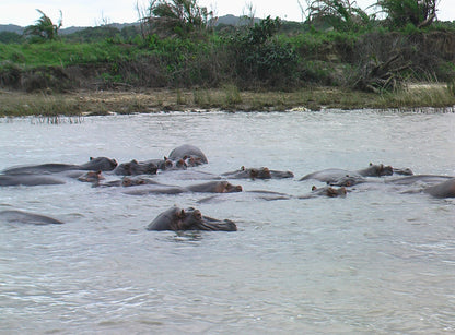  KZN Wildlife