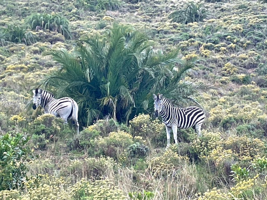  KZN Wildlife