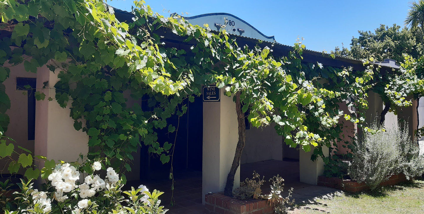  Kaapzicht Wine Estate