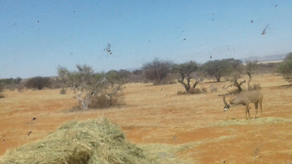  Kalahari Oryx Lodge