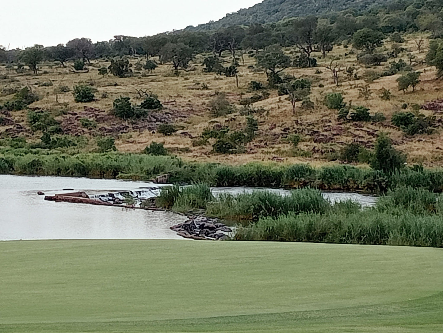  Kambaku Golf Club