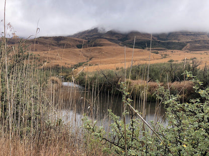  Kamberg Nature Reserve