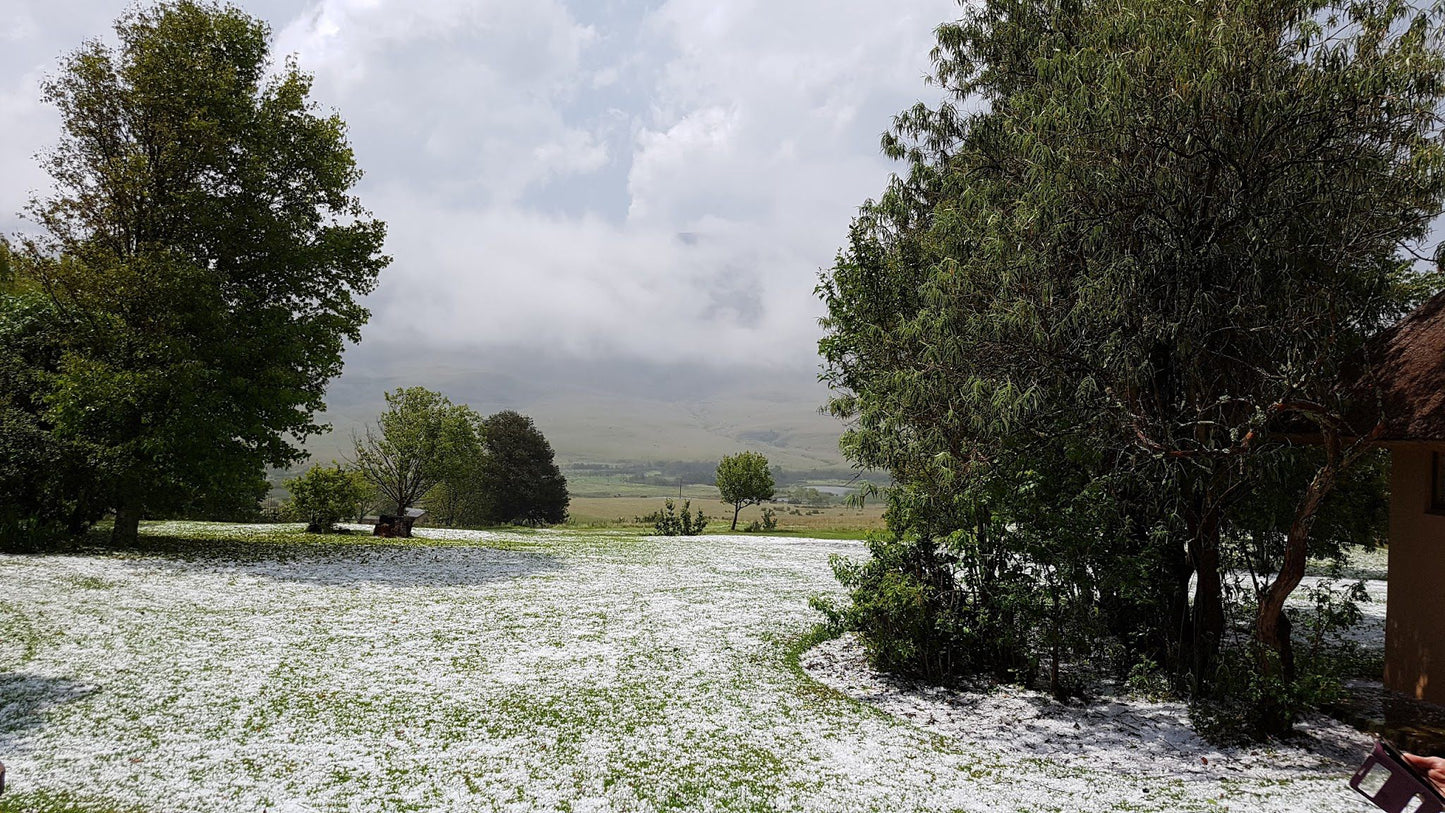  Kamberg Nature Reserve