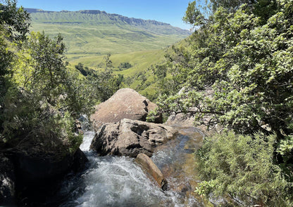  Kamberg Nature Reserve