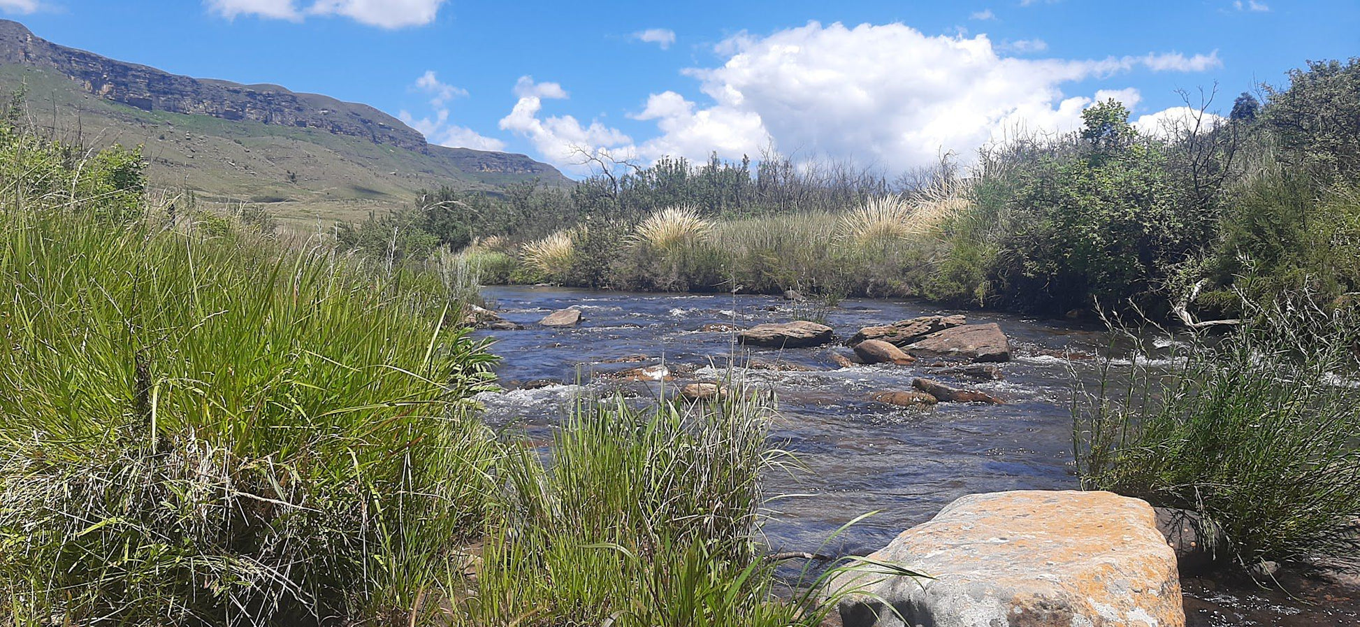  Kamberg Nature Reserve