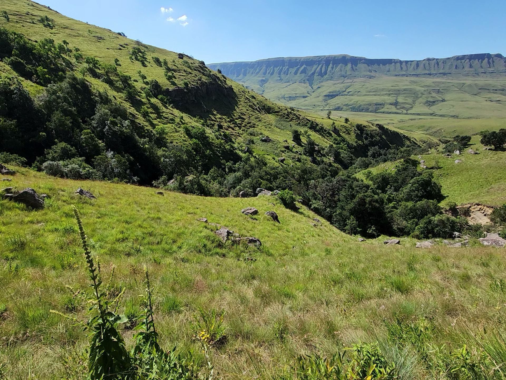  Kamberg Nature Reserve