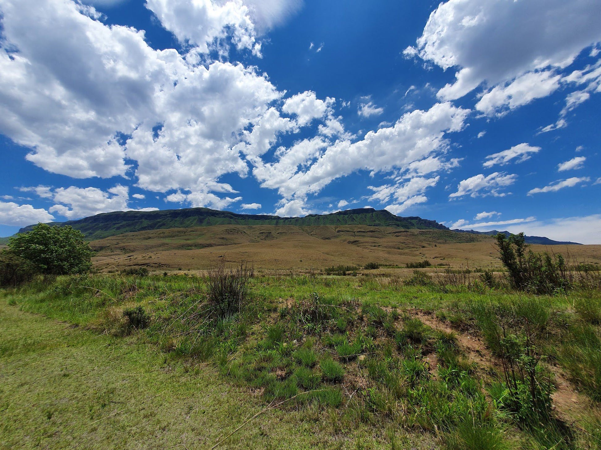  Kamberg Nature Reserve