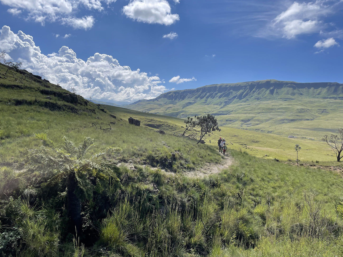  Kamberg Nature Reserve