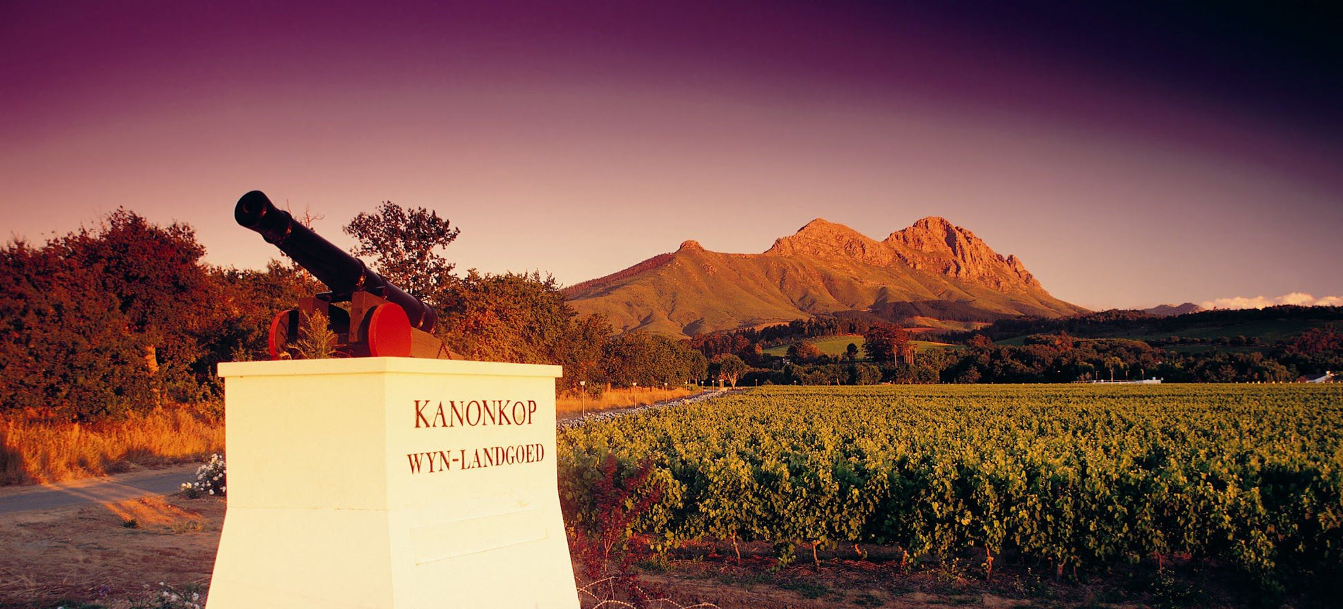  Kanonkop Wine Estate