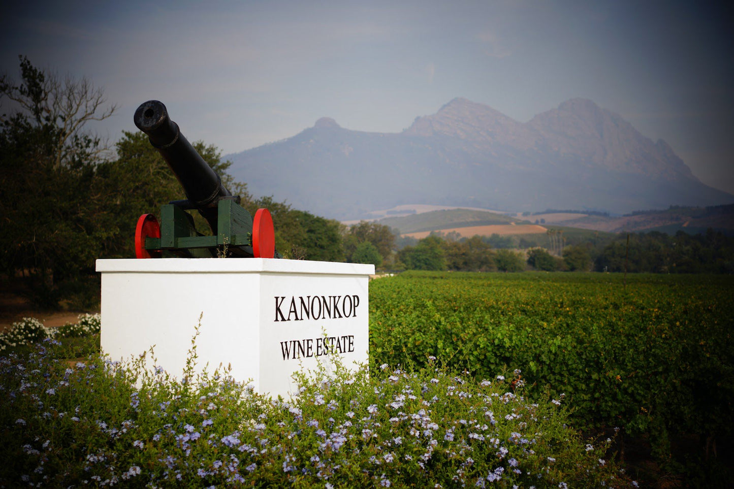  Kanonkop Wine Estate