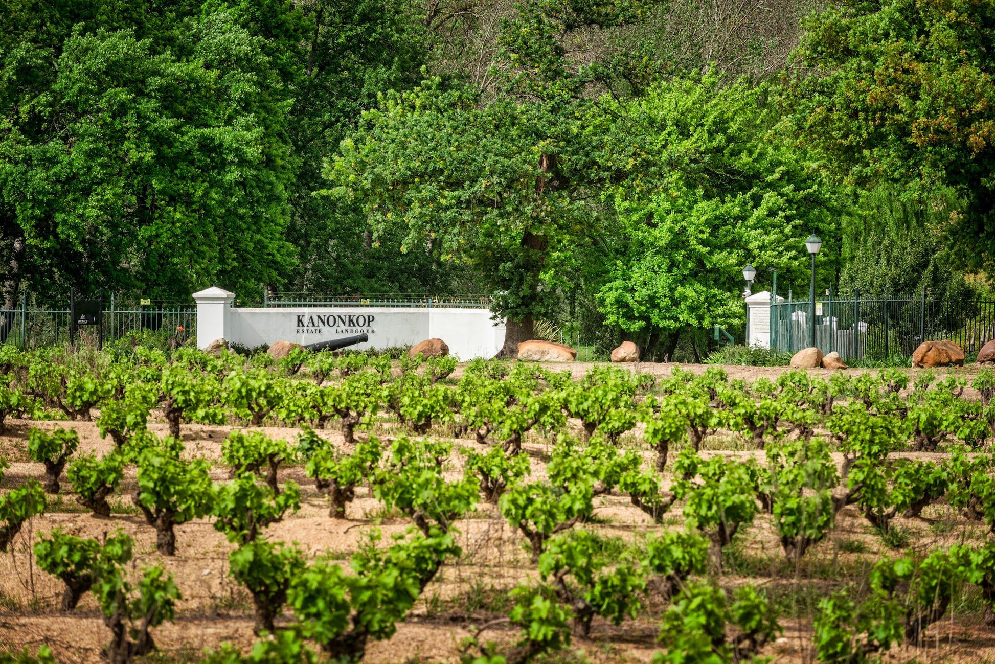  Kanonkop Wine Estate