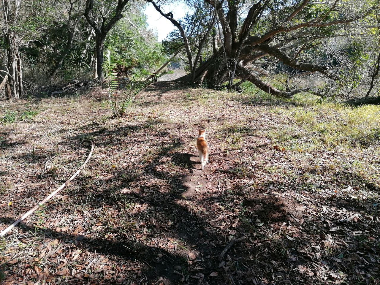  Kap River Conservancy