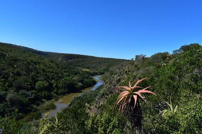  Kap River Conservancy