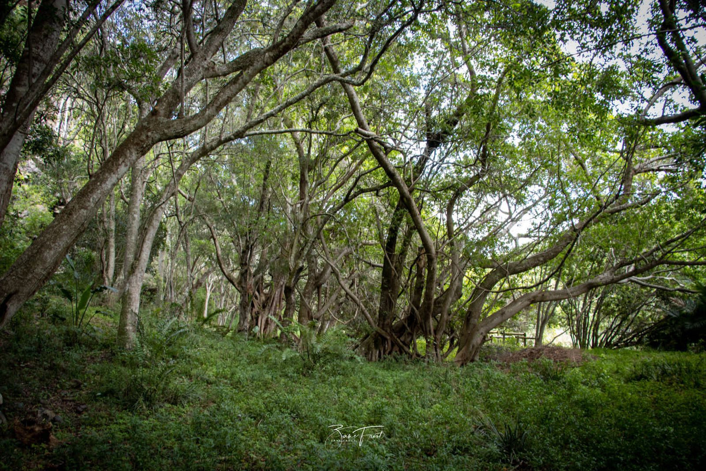  Kap River Conservancy