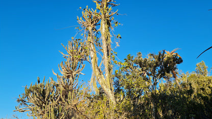  Kap River Conservancy