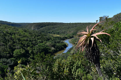  Kap River Conservancy