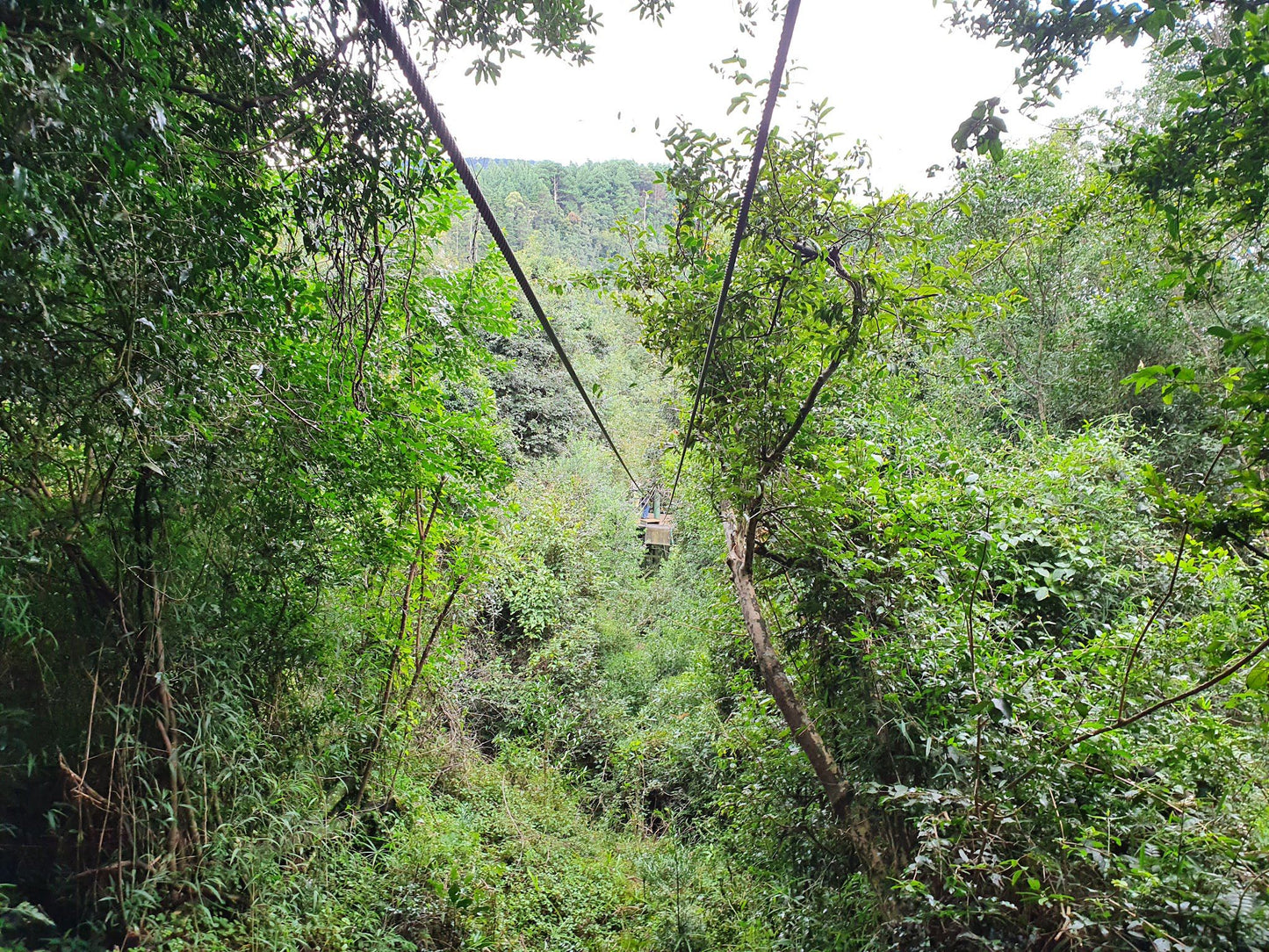  Karkloof Canopy Tour