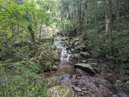  Karkloof Canopy Tour