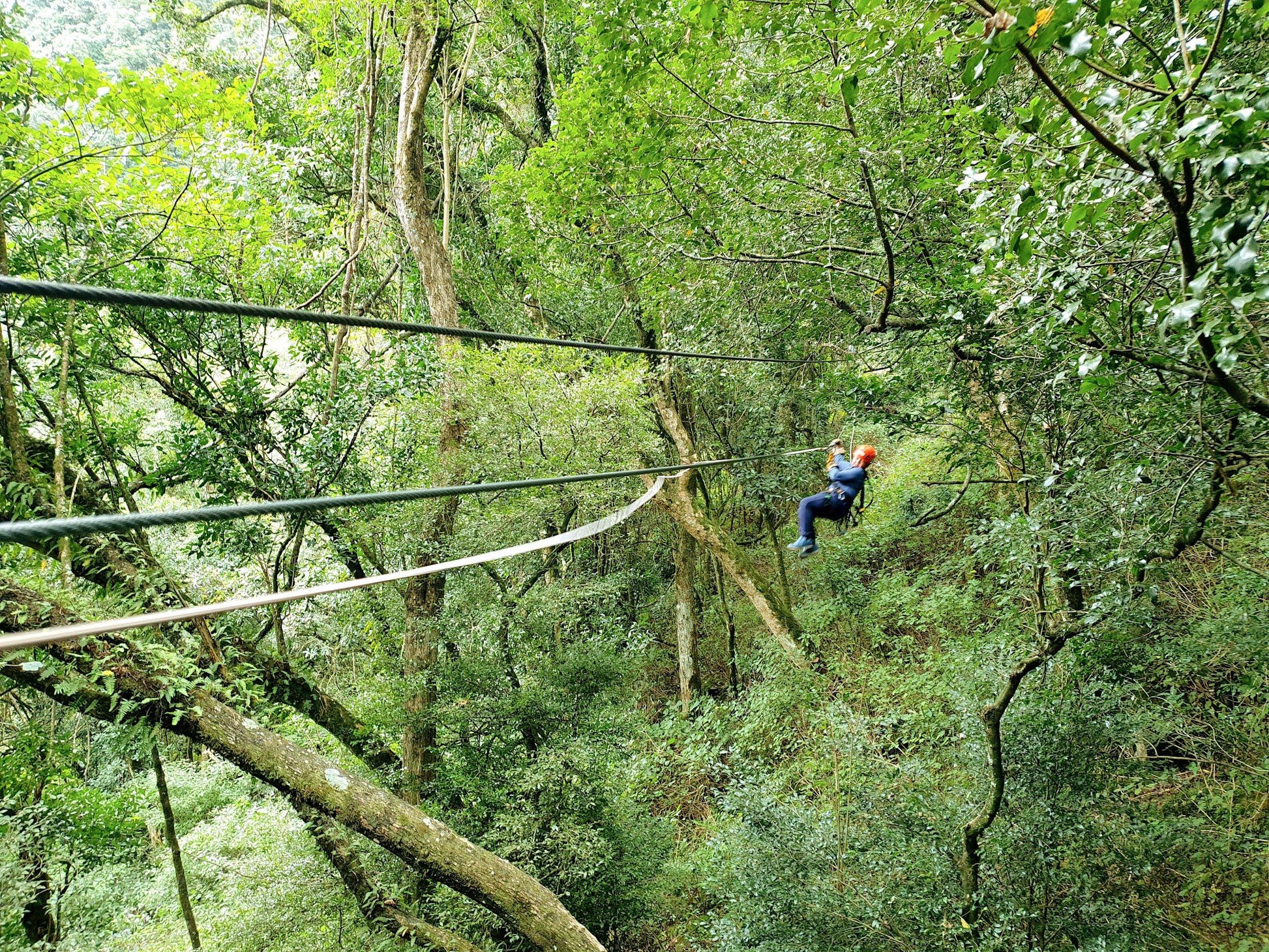  Karkloof Canopy Tour