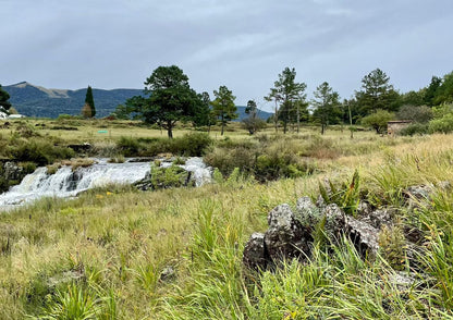  Karkloof Conservation Centre