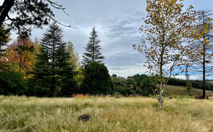  Karkloof Conservation Centre