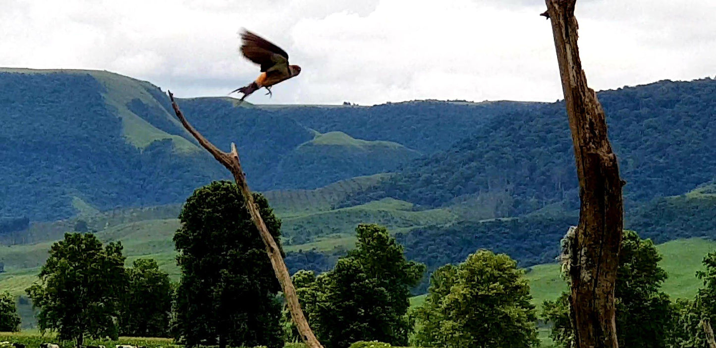  Karkloof Conservation Centre