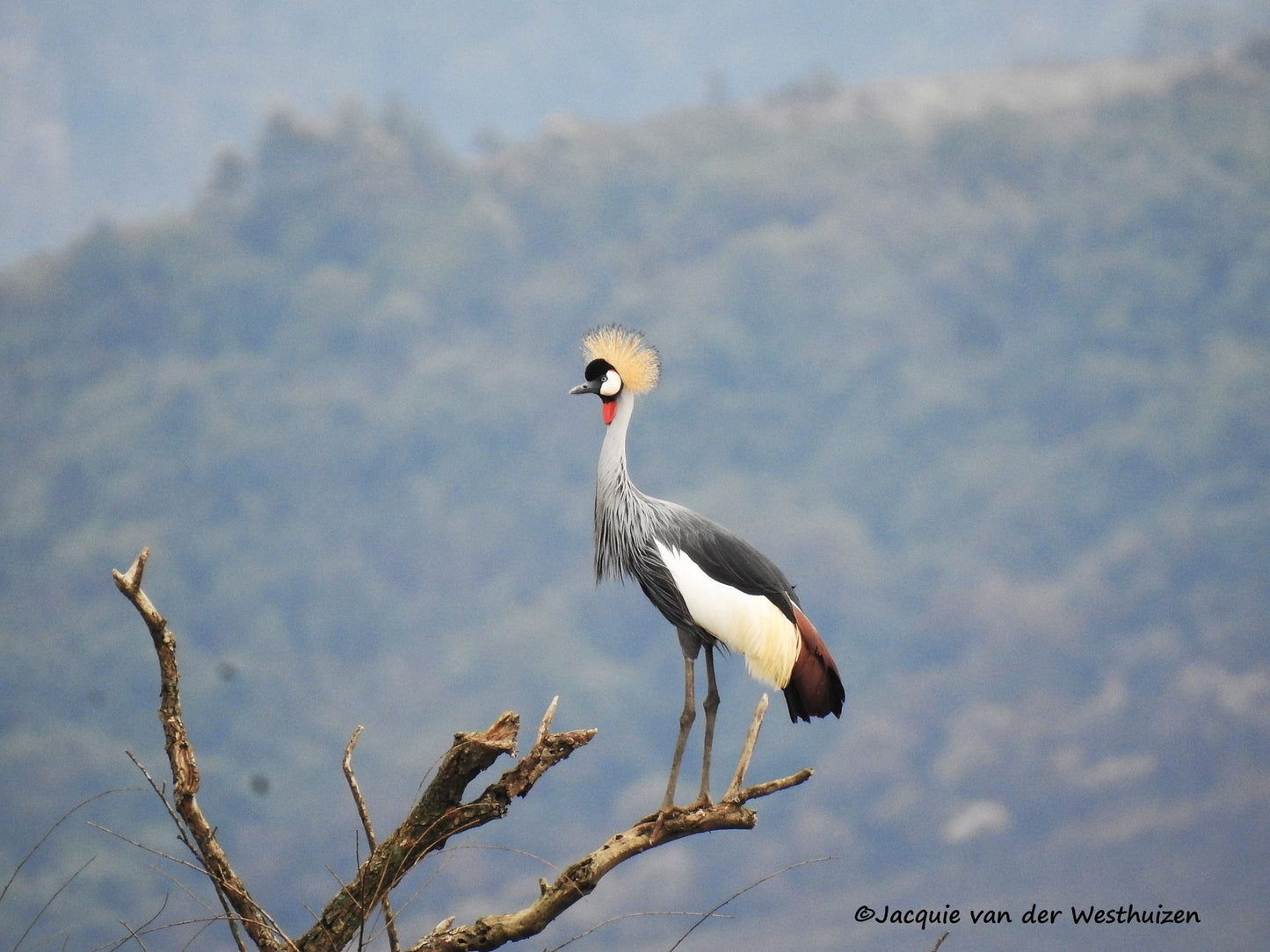  Karkloof Conservation Centre