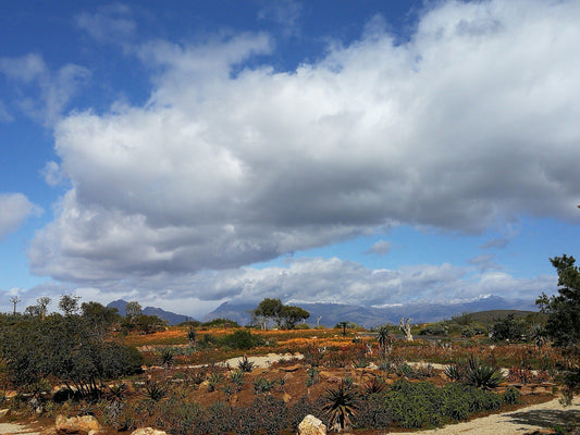 Karoo Gardens Hiking Trails